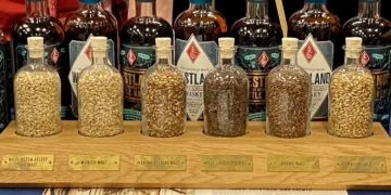 Grain Spirits Explained — The Foundation of Global Distillation