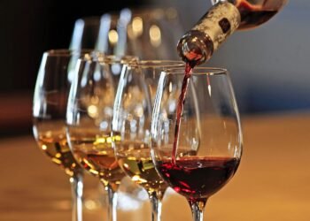 Wine as a Cultural Artifact: History, Identity, and the Evolution of Taste