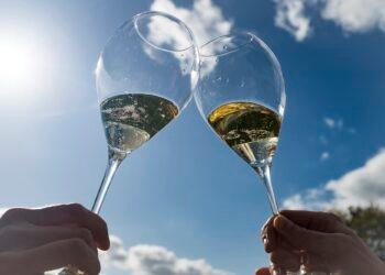 Champagne: The Sparkling Wine That Changed Global Celebration Culture