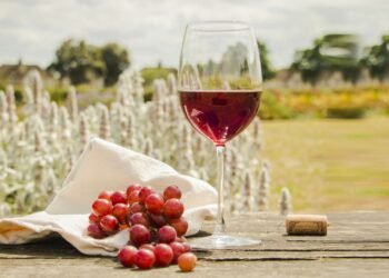 The Cultural History of Wine: From Ancient Rituals to Modern Luxury