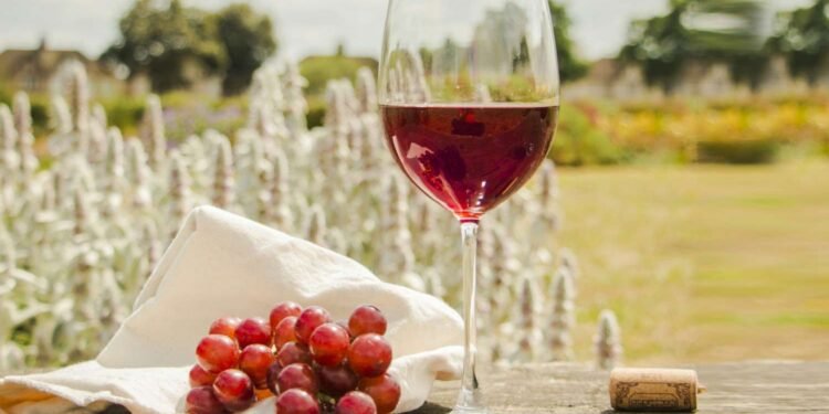 The Cultural History of Wine: From Ancient Rituals to Modern Luxury