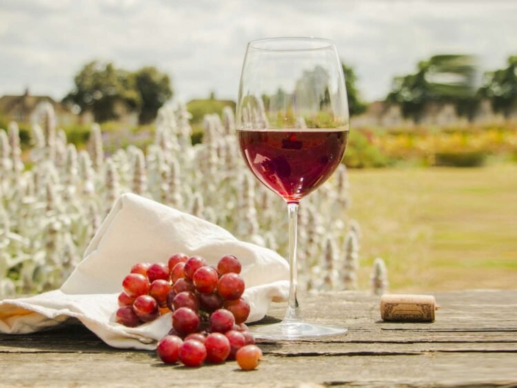 The Cultural History of Wine: From Ancient Rituals to Modern Luxury
