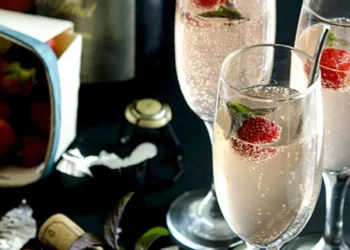 Champagne Beyond Celebration: The History, Craftsmanship, and Global Influence of the World’s Most Iconic Sparkling Wine