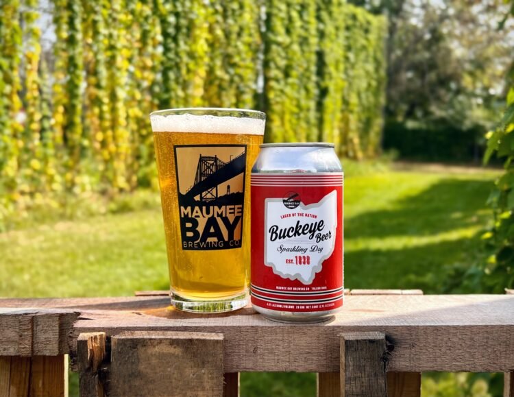 The Global Craft Beer Revolution: How Independent Brewers Changed Modern Drinking Culture